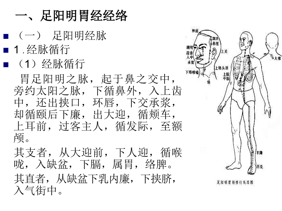 经络学足阳明胃经_第2页