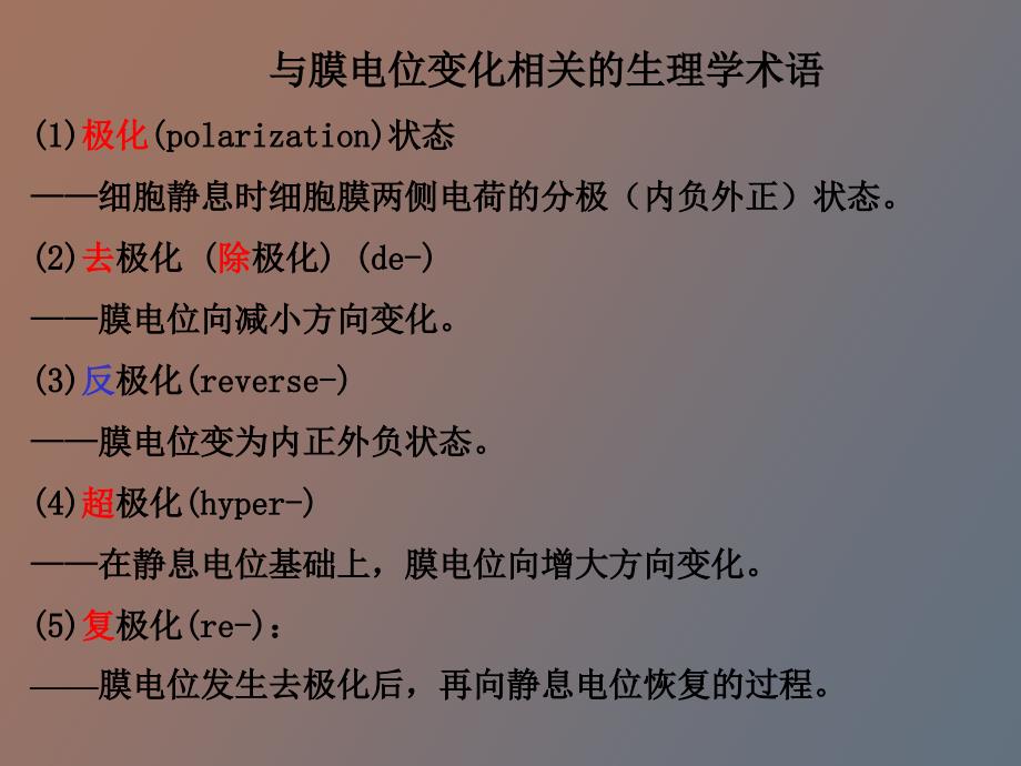 生理学细胞的生物电现象_第3页