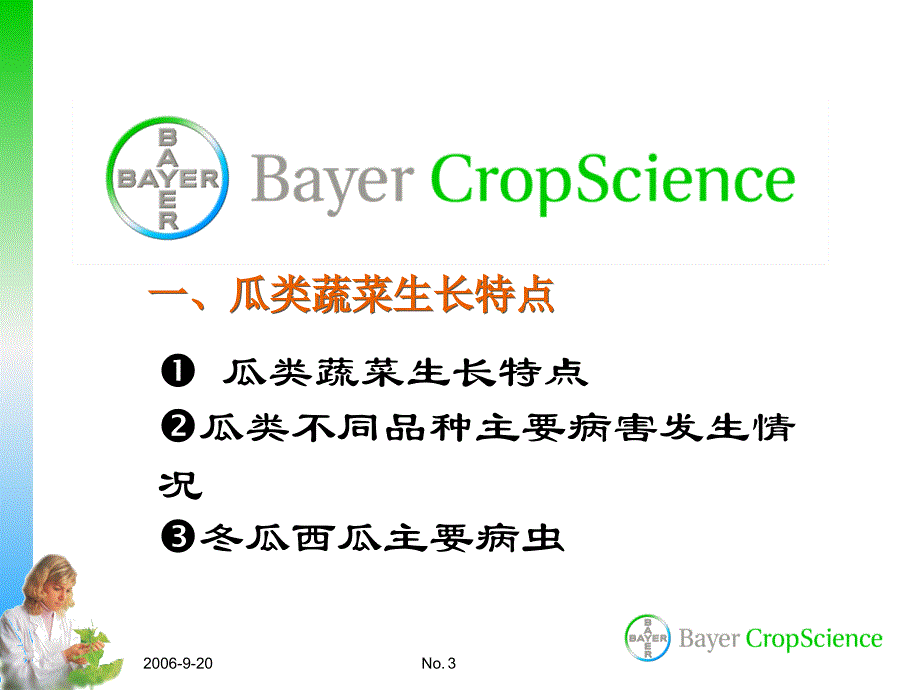 冬(西)瓜病虫害防治技术d_第3页