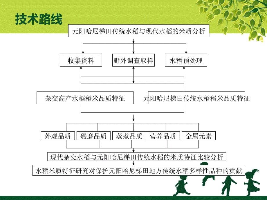 米质分析开题报告.ppt_第5页