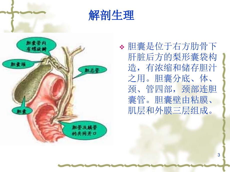 优质课件胆囊炎病人护理常_第3页