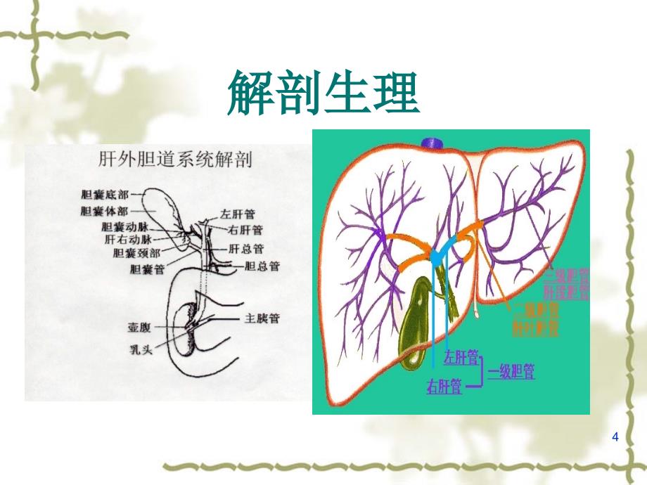 优质课件胆囊炎病人护理常_第4页