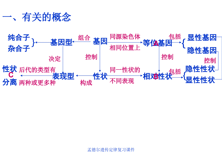 孟德尔遗传定律复习课件_第2页