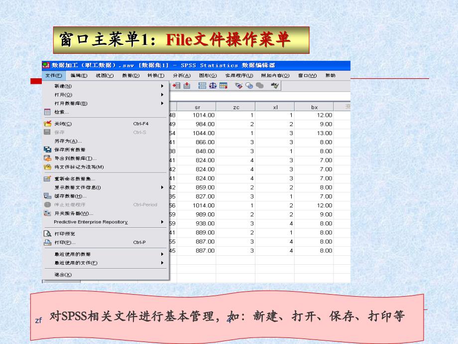 SPSS数据文件的建立和预处理课件_第4页