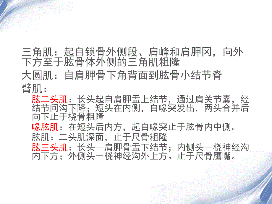 医学影像肩关节MRI_第3页