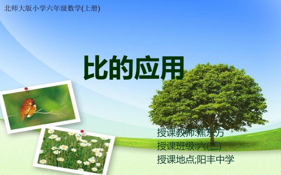 人教版六年级数学上册第三单元第十课时比的应用.ppt_第1页
