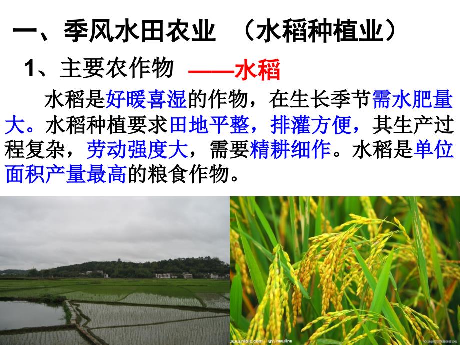 以种植业为主的农业地域类型_第4页