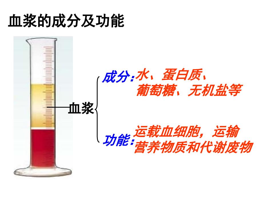 七级下册生物课件人体内的物质运输_第4页