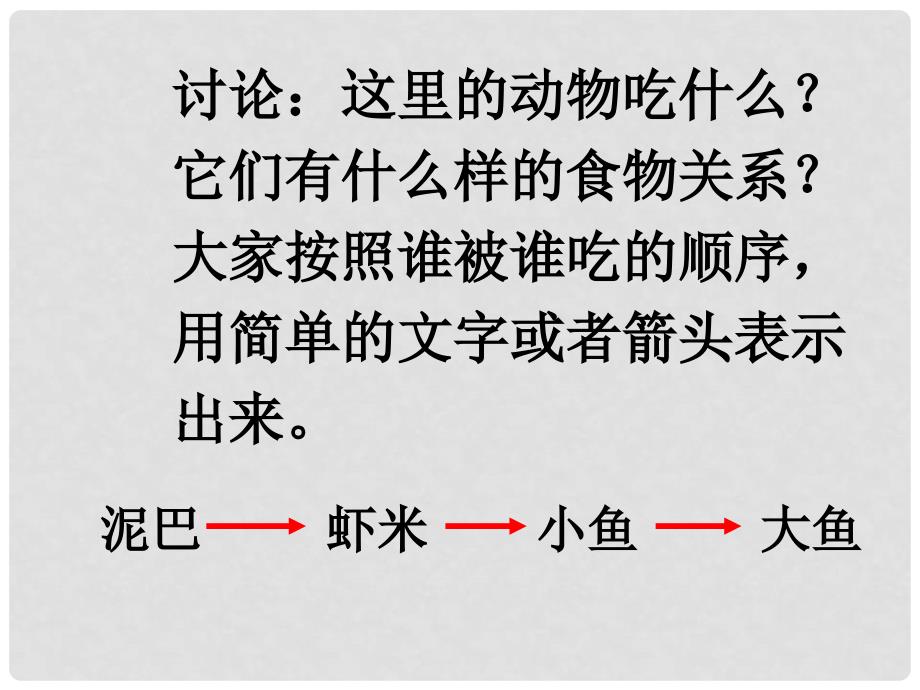 八年级生物下册 第六单元 第二节 食物链和食物网课件 济南版_第4页