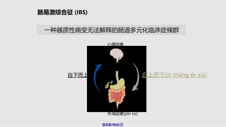 IBS病理生理机制研究进展实用教案_第2页