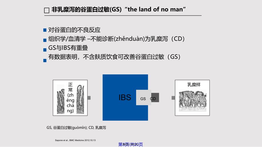 IBS病理生理机制研究进展实用教案_第3页