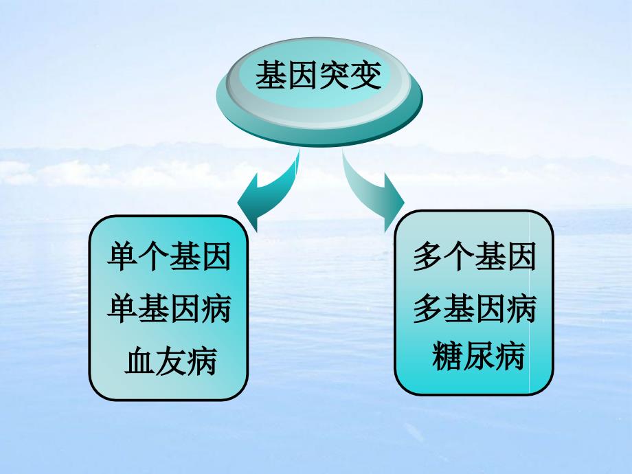 单基因遗传病和多基因遗传病_第3页