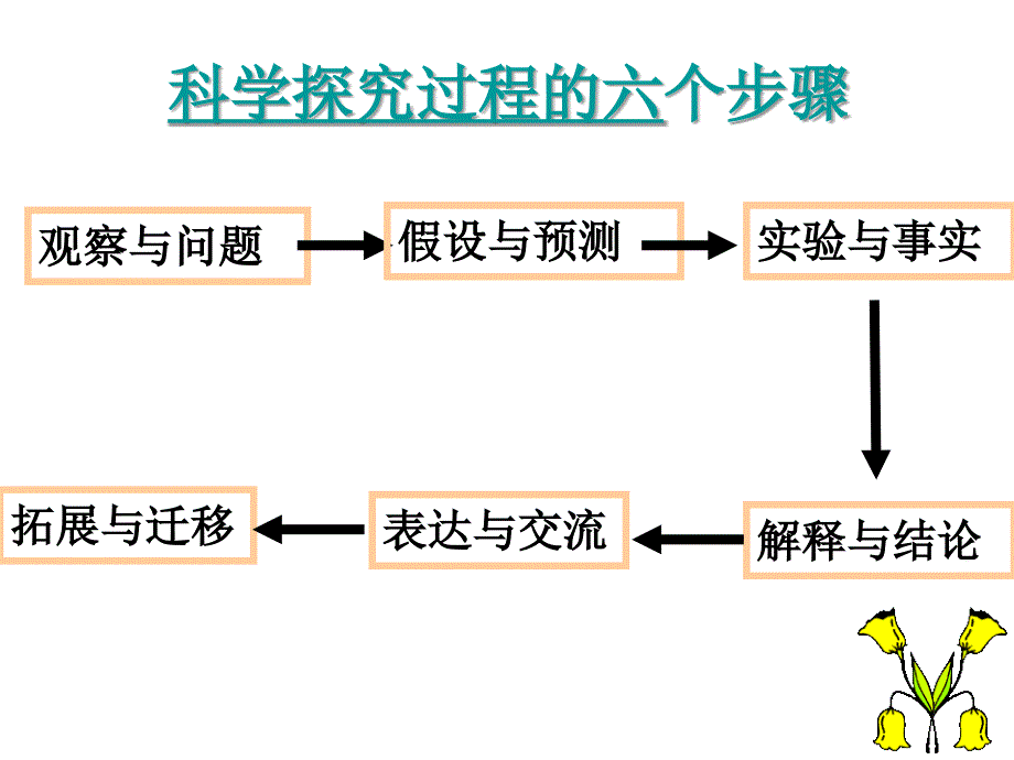 初中化学专题训练实验与探究题的解法初探_第4页