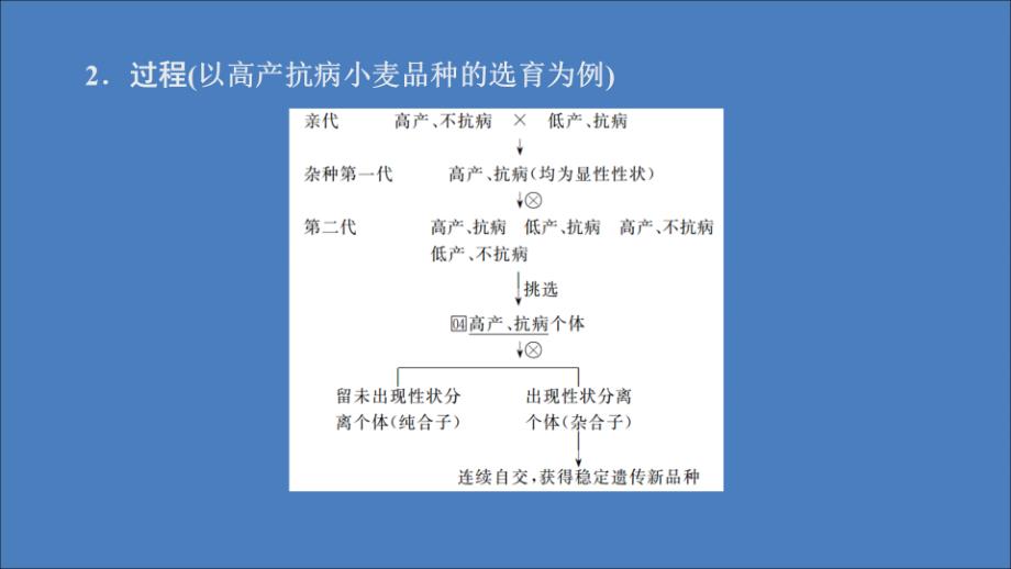 2020高中生物 第6章 从杂交育种到基因工程 第1节 杂交育种与诱变育种课件 新人教版必修2_第4页