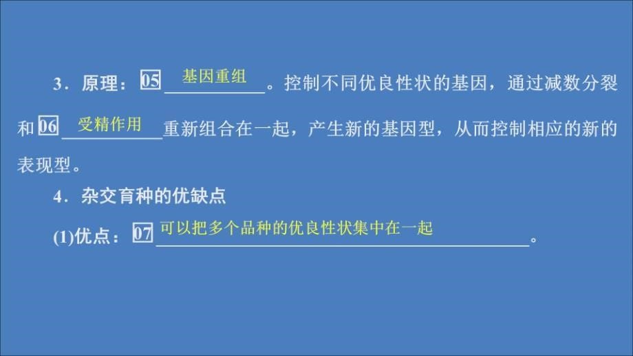 2020高中生物 第6章 从杂交育种到基因工程 第1节 杂交育种与诱变育种课件 新人教版必修2_第5页