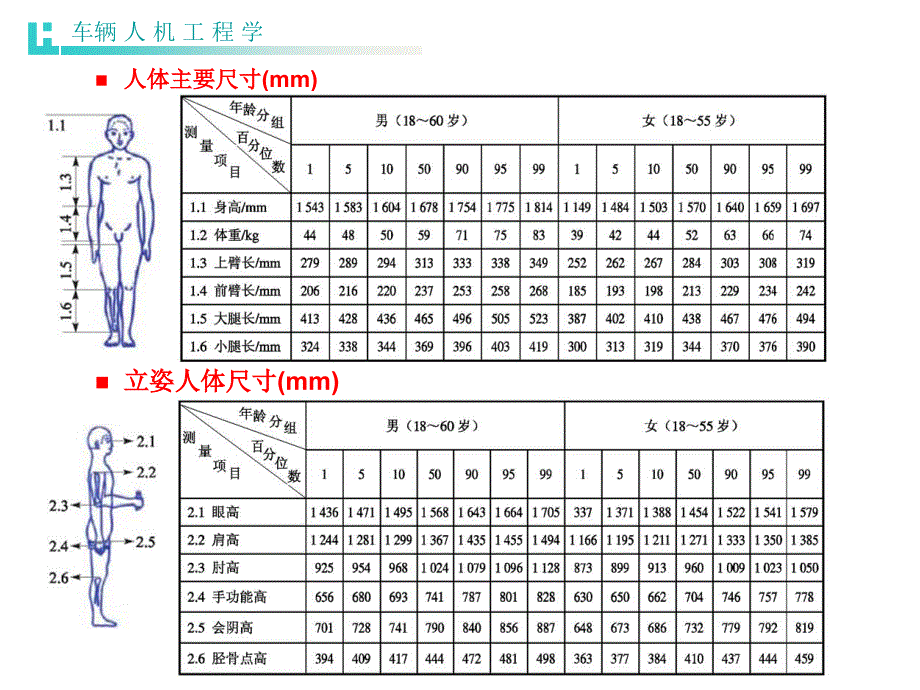 第2章车辆人机学课件_第4页