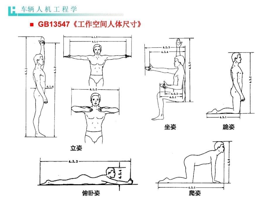 第2章车辆人机学课件_第5页