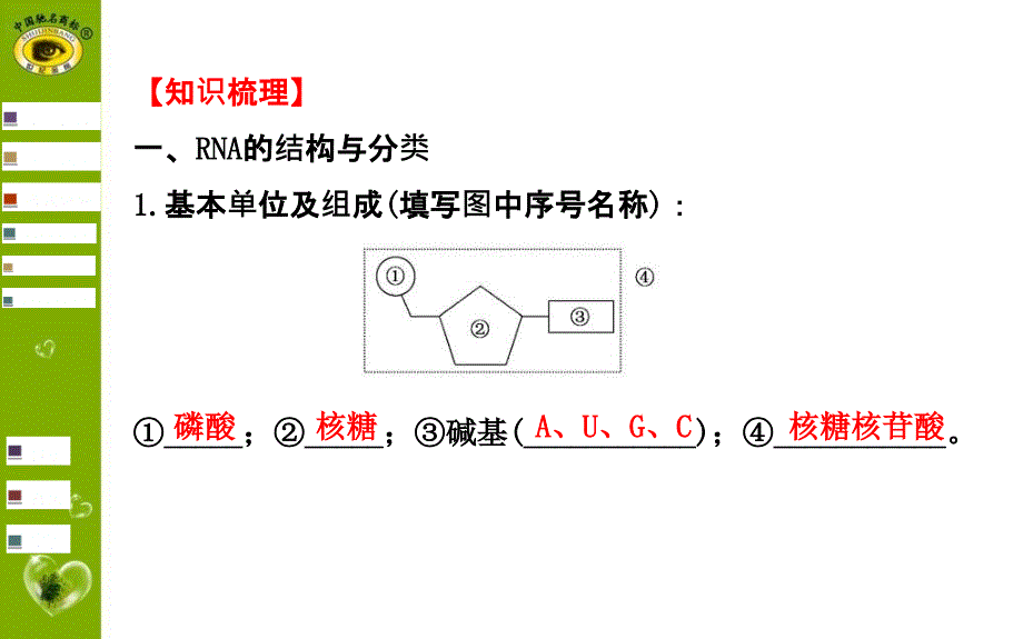 高考一轮生物复习4_第3页