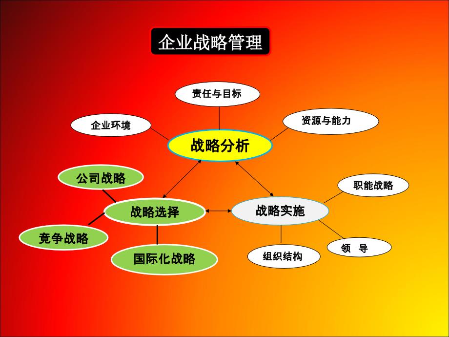 五企业战略管理(最新修改)_第4页