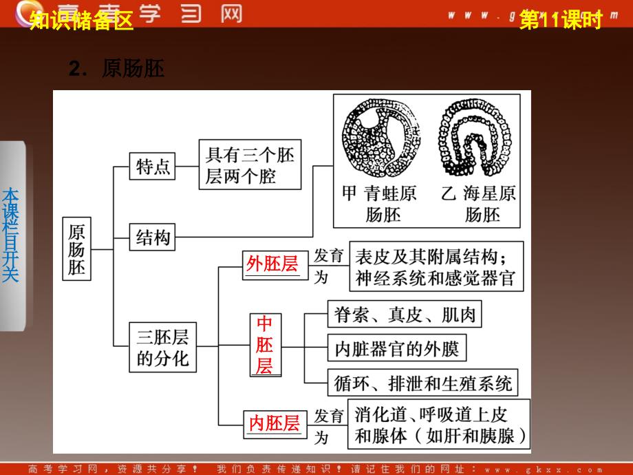 高二生物（苏教版选修3）课堂学案配套课件：第三章第11课时《胚胎工程的主要技术与应用》_第4页