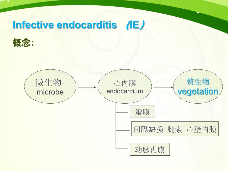 感染性心内膜炎--标准课件025_第3页