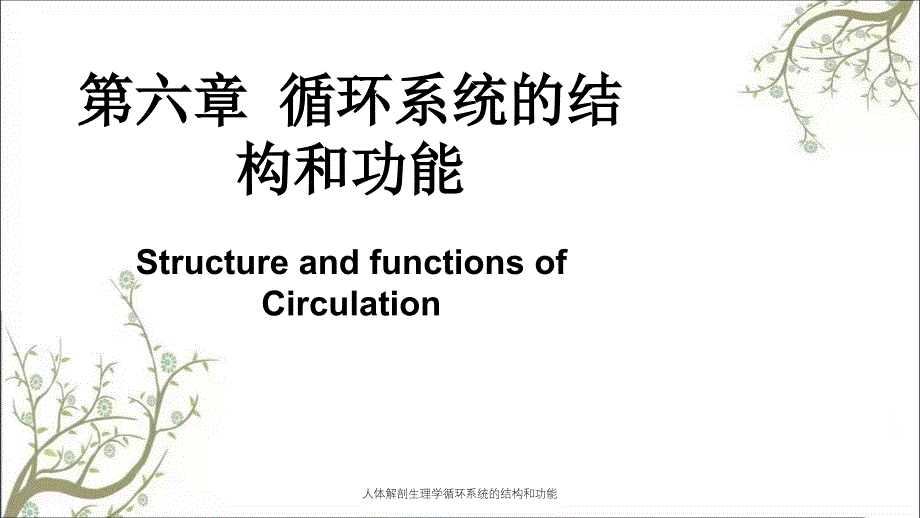 人体解剖生理学循环系统的结构和功能_第1页