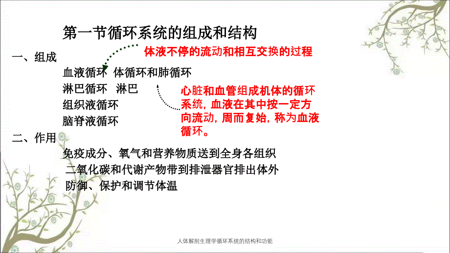 人体解剖生理学循环系统的结构和功能_第2页