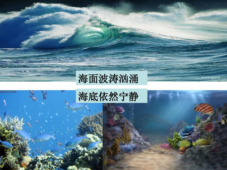 课件海底世界6_第3页