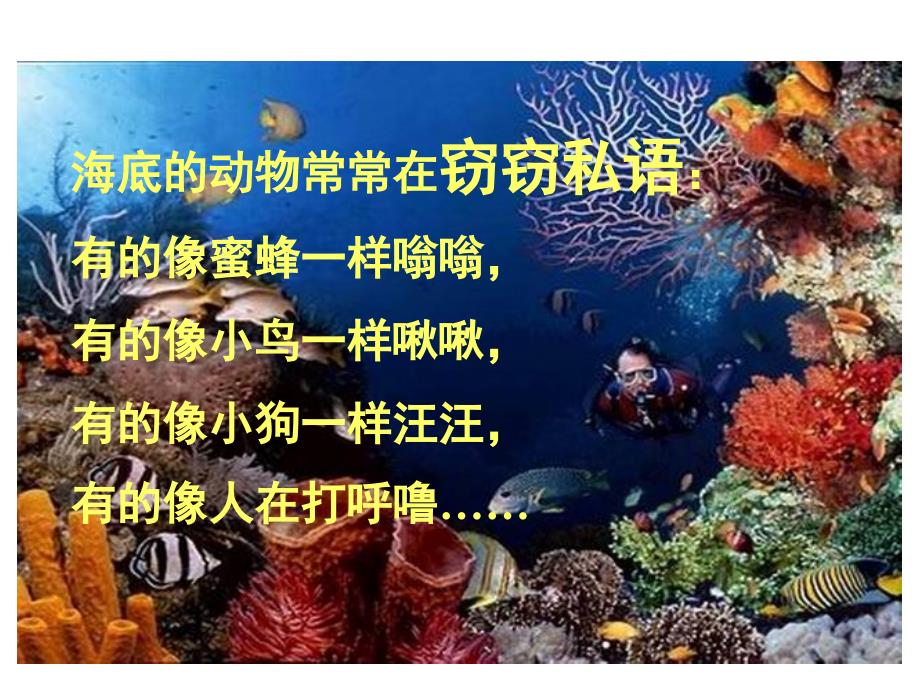 课件海底世界6_第4页