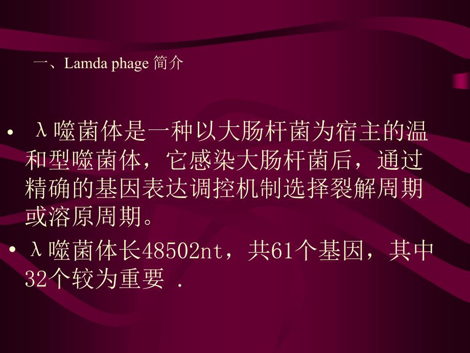 续1λ噬菌体的调控.ppt_第2页