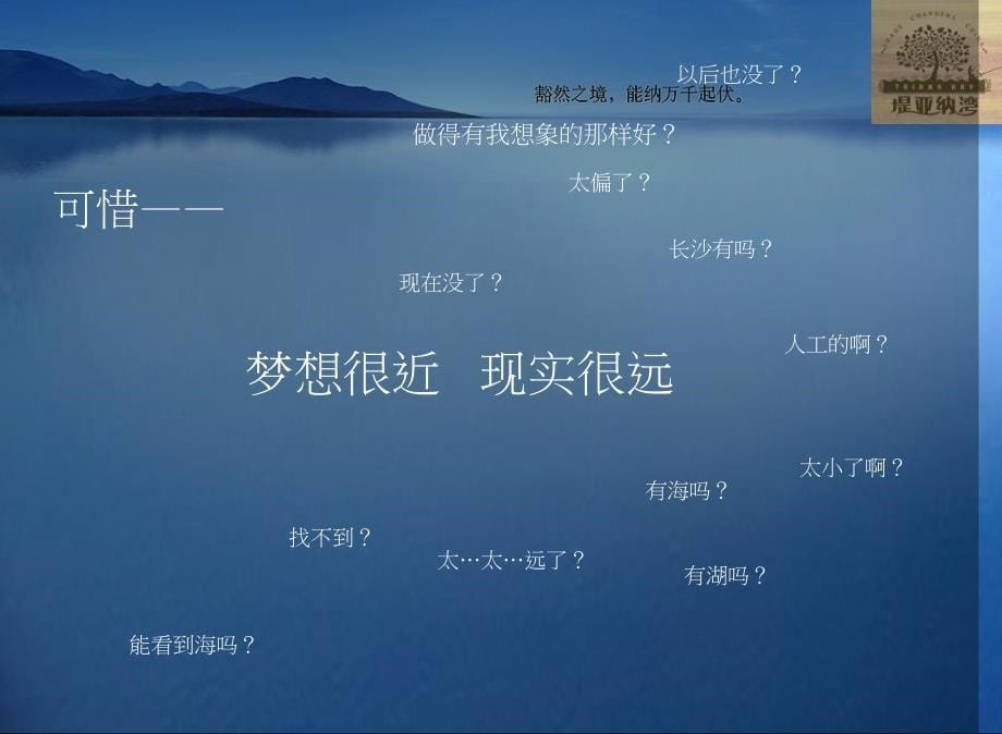 亚纳湾湖景别墅营销策略_第5页