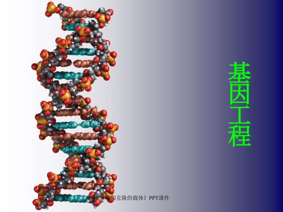 基因克隆的载体课件_第1页