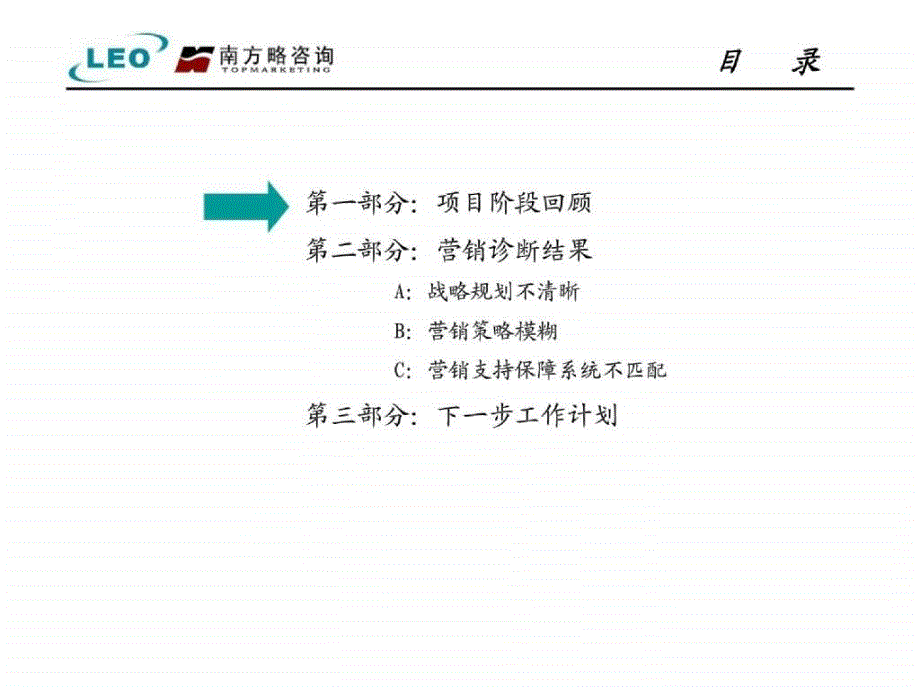 利欧股份营销管理咨询内部诊断报告_第2页