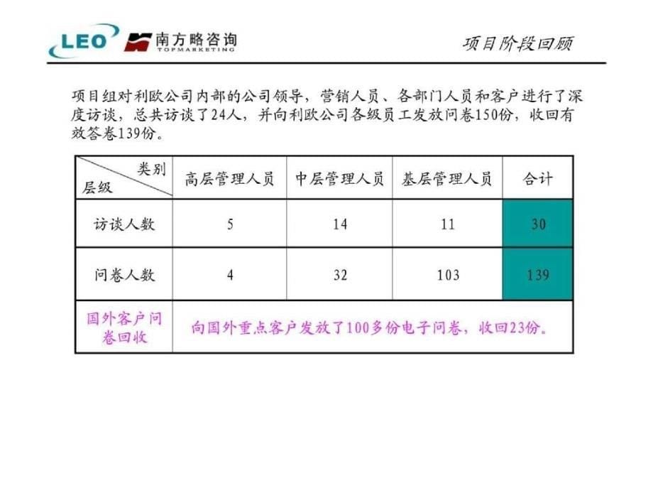 利欧股份营销管理咨询内部诊断报告_第5页