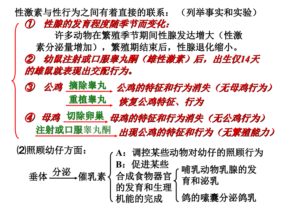 动物行为产生的生理基础ppt课件_第3页