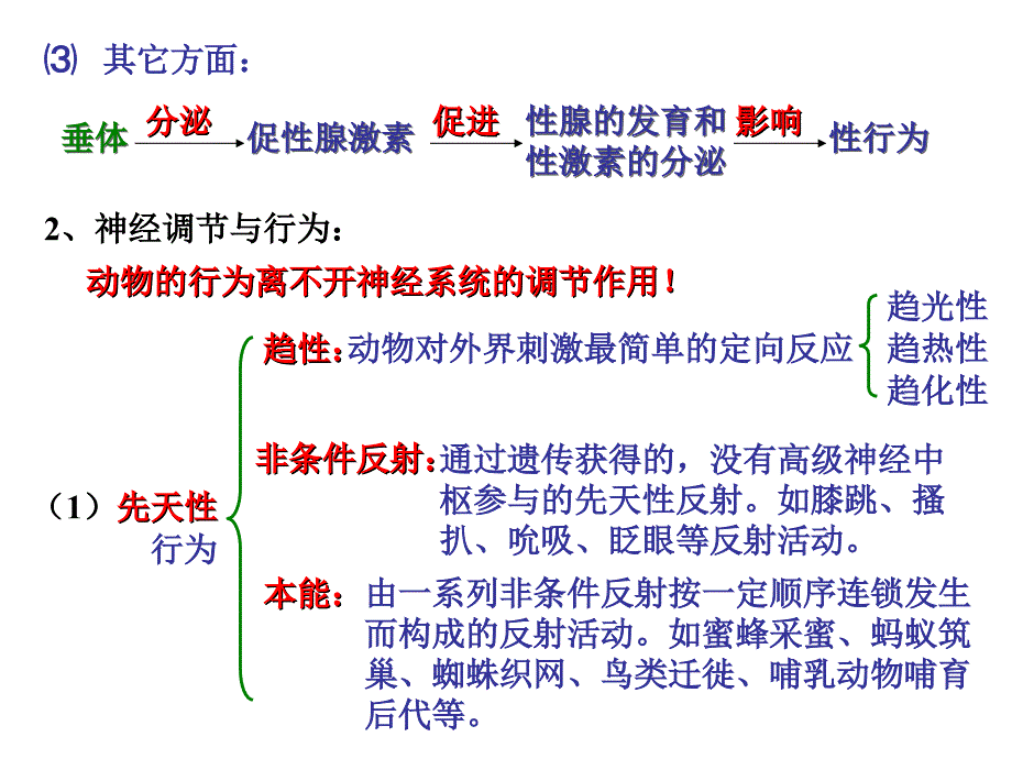 动物行为产生的生理基础ppt课件_第4页