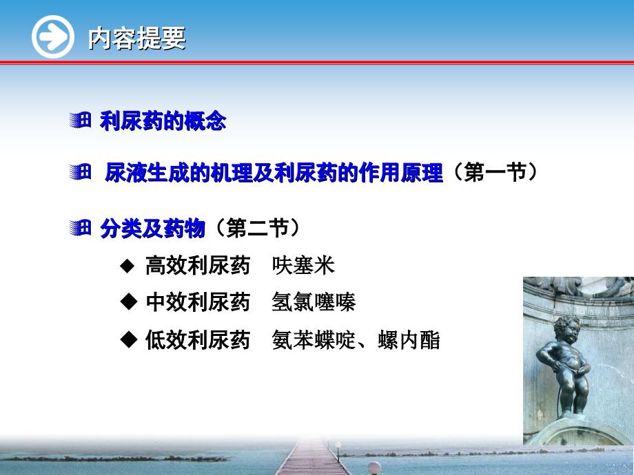 药理学完整知识利尿药_第2页