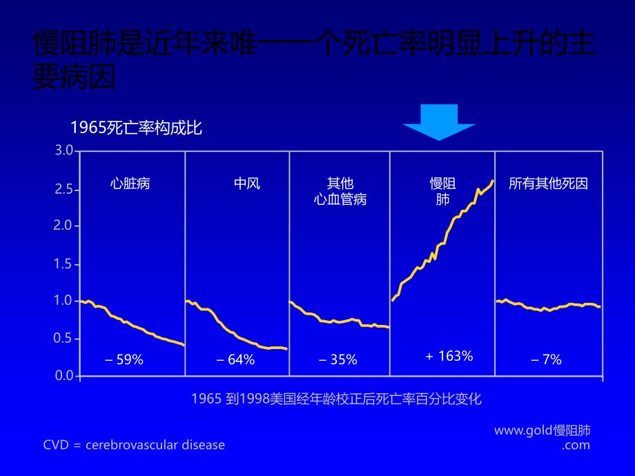 慢阻肺高风险患者的管理课件_第4页