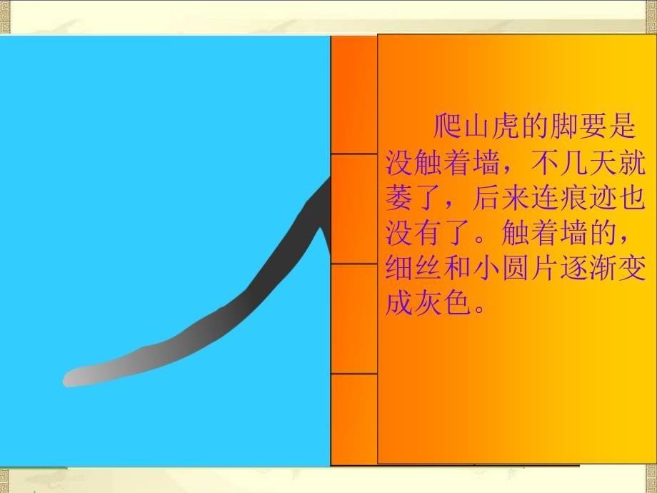 6四年级上语文课件爬山虎的脚1人教新课标_第5页