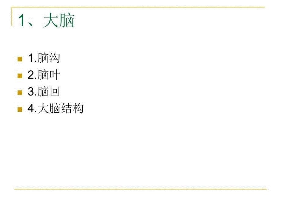 《脑mri常用解剖》PPT课件.ppt_第5页