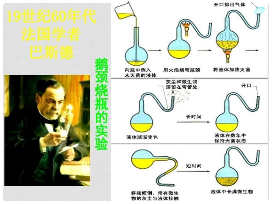 八年级生物下册 第21章 第一节 生命的起源课件2 （新版）北师大版_第5页