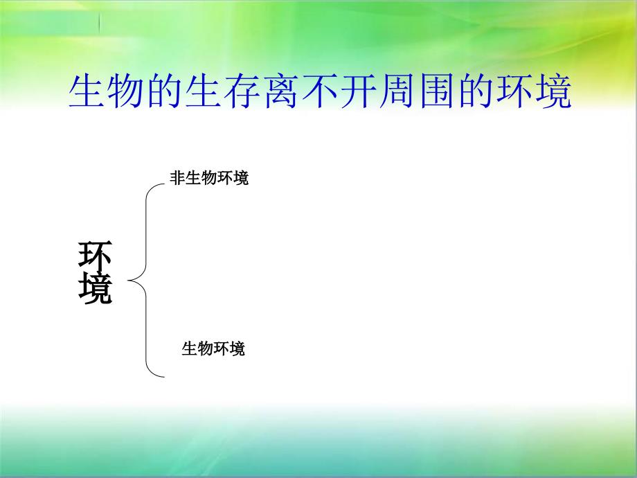 生物与非生物环境的关系_第4页