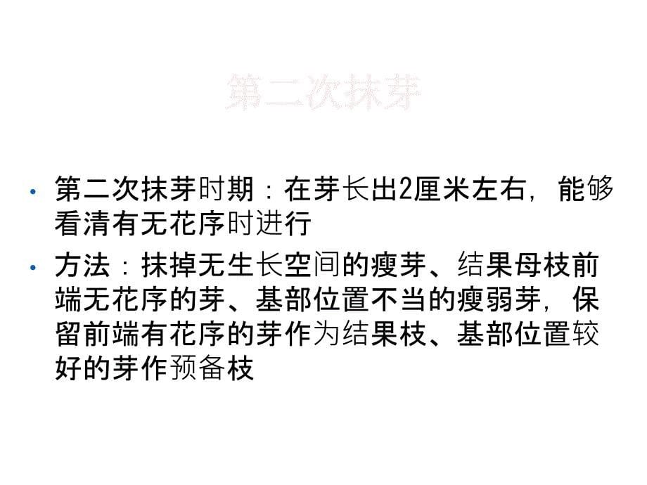 果树生产技术(葡萄的夏季修剪)--川省万源市农广校_第5页