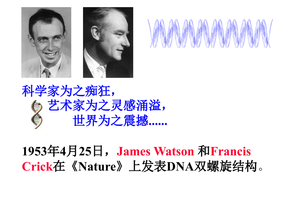 基因工程生物安全_第4页