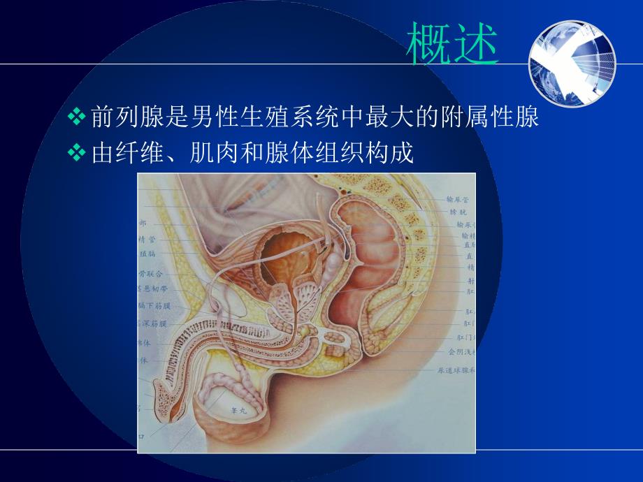 磁共振前列腺癌诊断标准.ppt_第2页