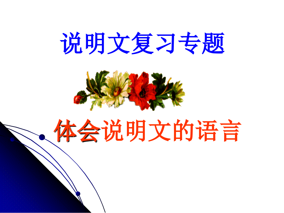 说明文阅读专题体会说明文语言.ppt_第1页