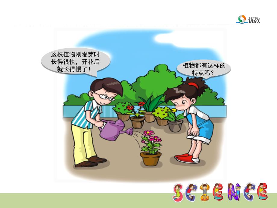 植物长大了教学课件ppt_第2页