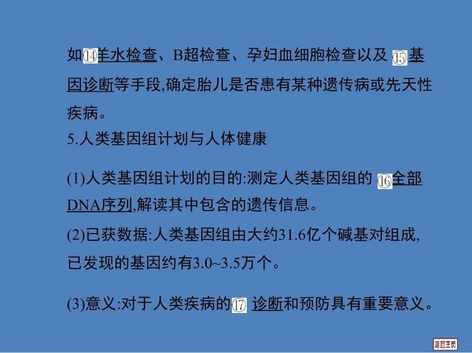 届高三生物一轮复习课件：人类遗传病_第5页