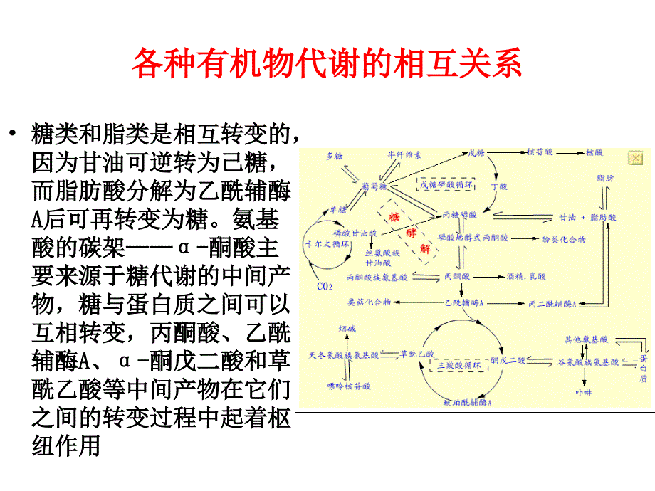 植物生理学第五章_第3页