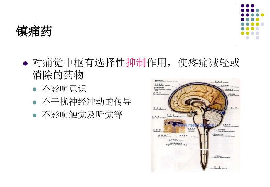 药物化学中枢神经镇痛药_第2页